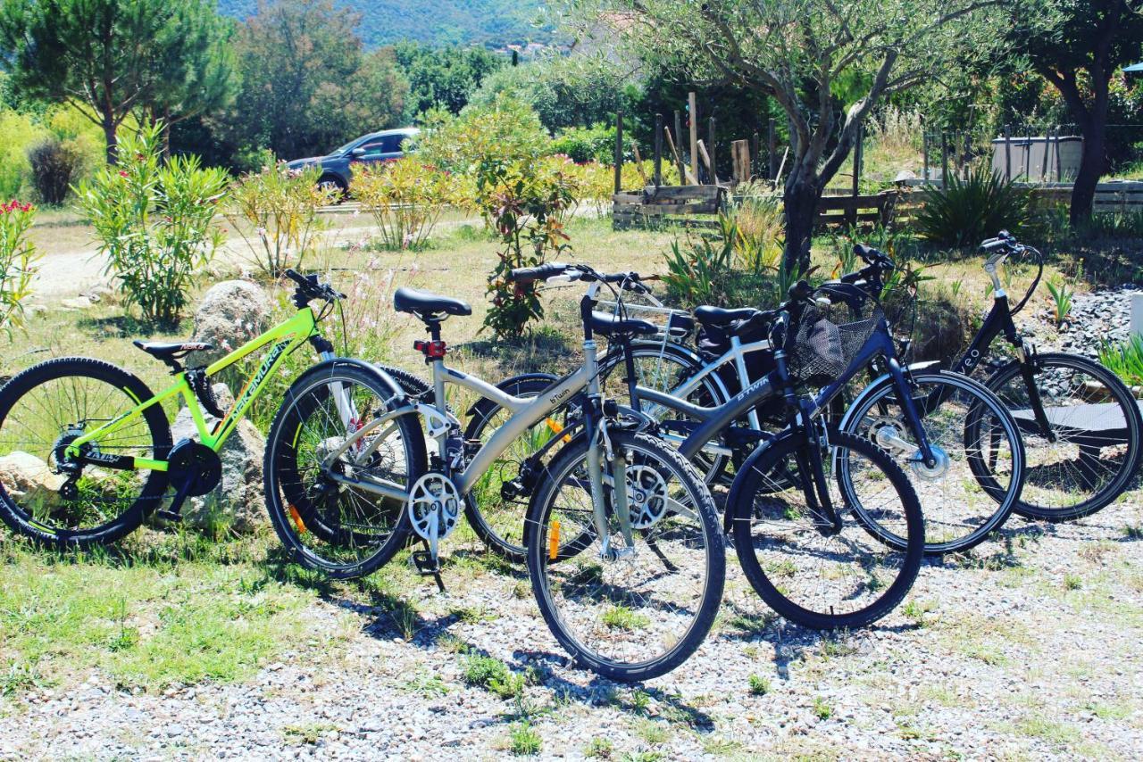 Domaine Pedra Llampada Gite Mer Villelongue-dels-Monts エクステリア 写真