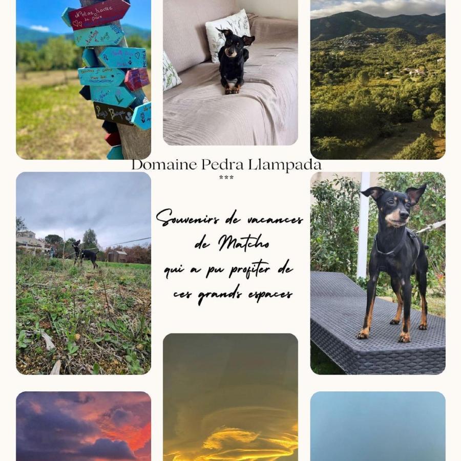 Domaine Pedra Llampada Gite Mer Villelongue-dels-Monts エクステリア 写真