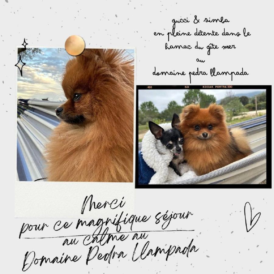 Domaine Pedra Llampada Gite Mer Villelongue-dels-Monts エクステリア 写真