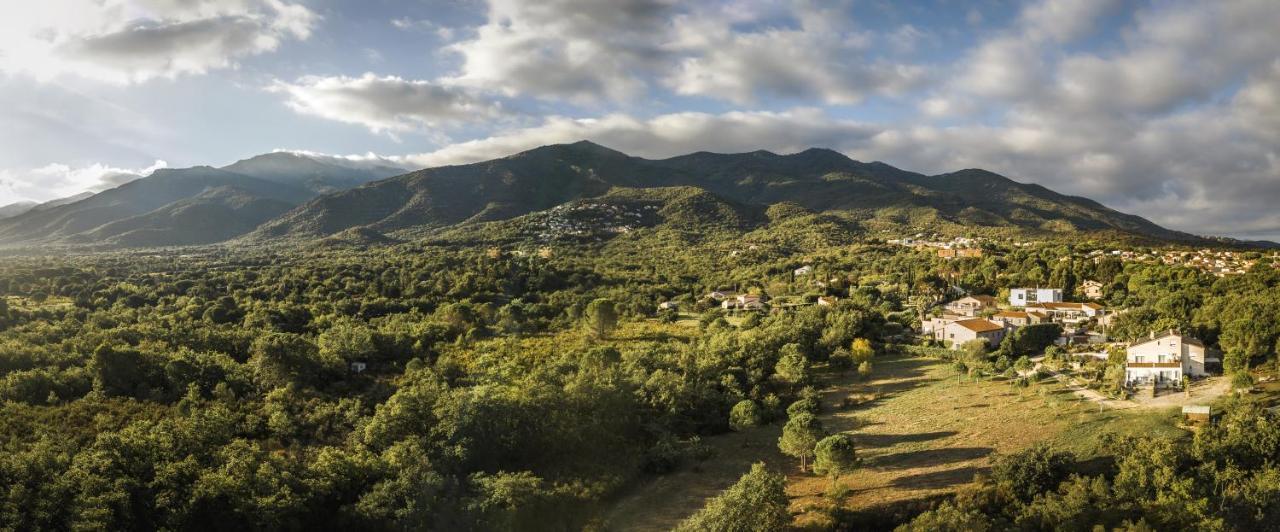Domaine Pedra Llampada Gite Mer Villelongue-dels-Monts エクステリア 写真